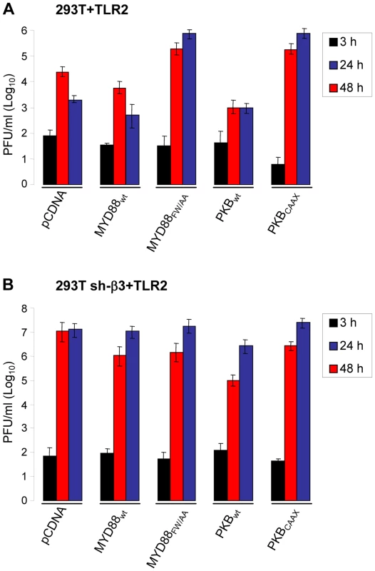 R7910 yield in cells expressing DN versions of MYD88 or AkT, and silenced for β3-integrin.