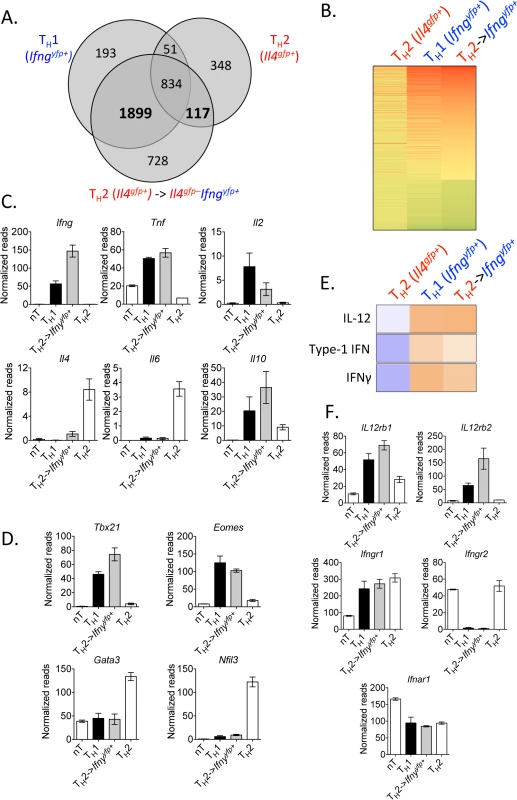 Converted Th2 cells are transcriptionally similar to Th1 cells.