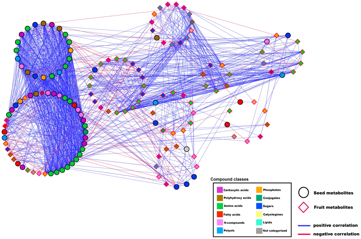 Degree of connectivity cluster network.