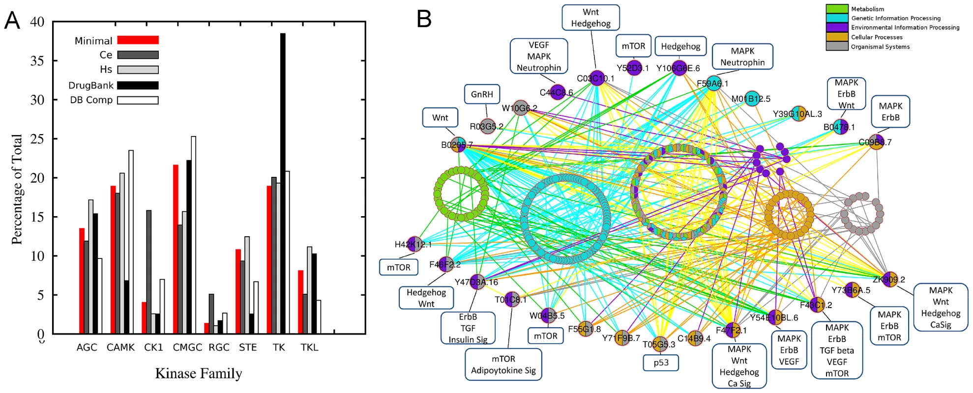 Minimal kinome analysis.