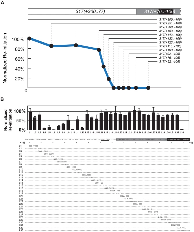 Mapping the re-initiation promoter for <i>ARS317</i>.