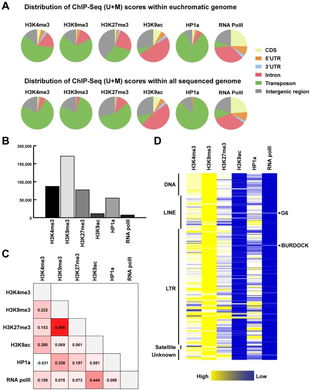 Distribution of Illumina tags and ChIP–Seq (U+M) scores over main features of the genome.