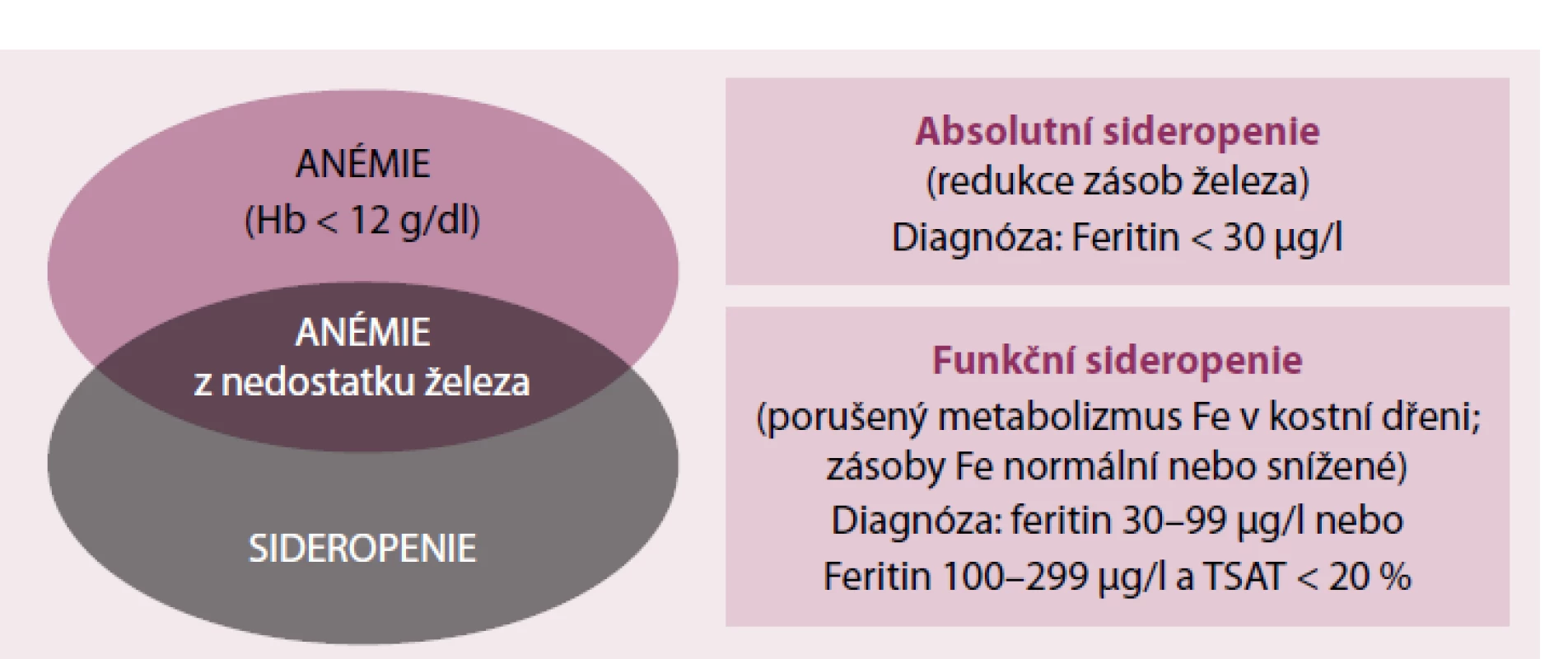 Vztah mezi anemií a sideropenií.
