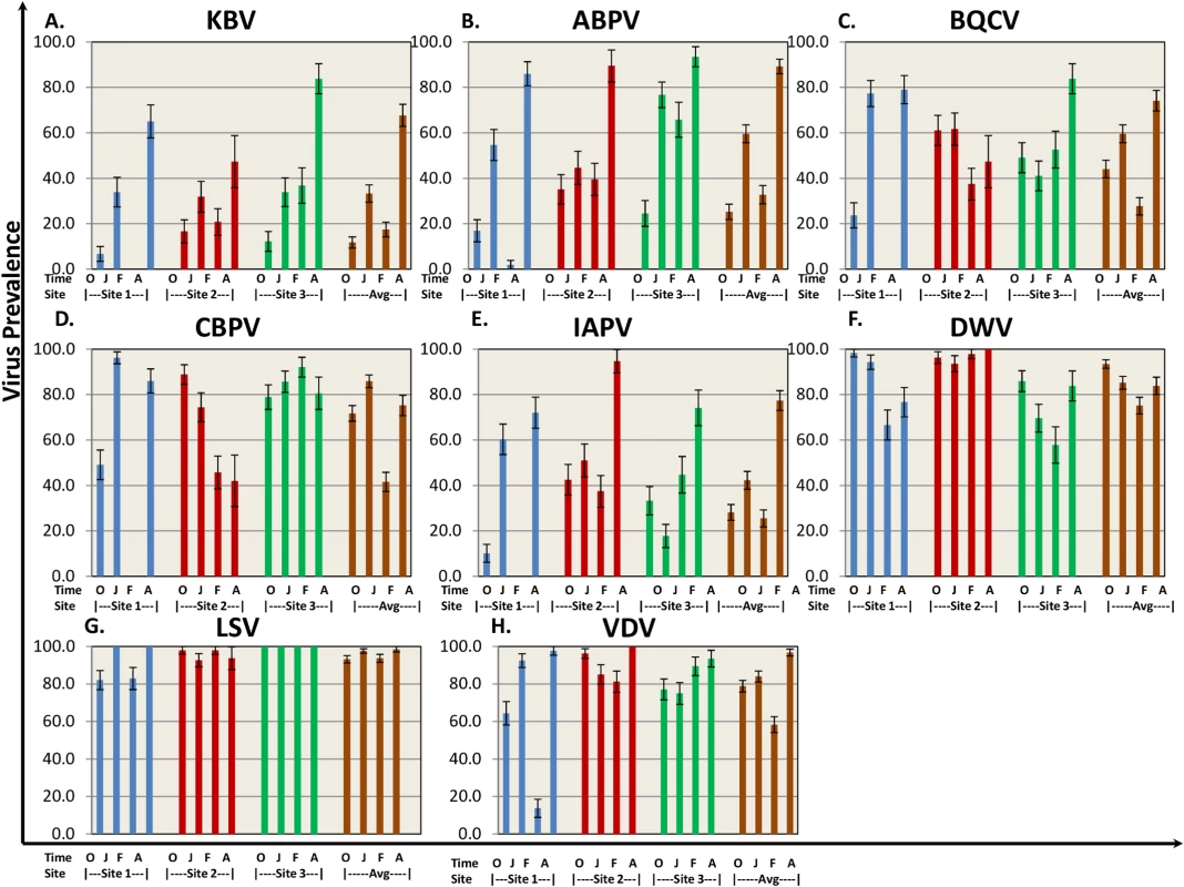 Virus prevalence by location and collection time.