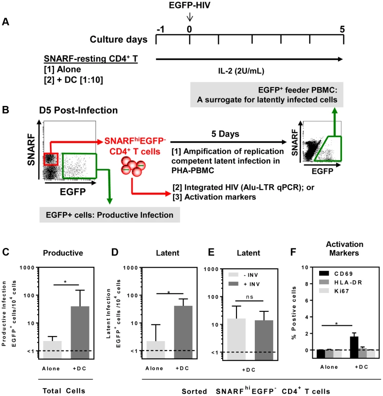 DC-induced latency in resting CD4<sup>+</sup> T cells.