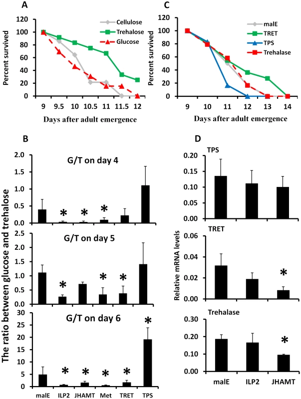 Trehalose metabolism plays an important role in extending life span during starvation.