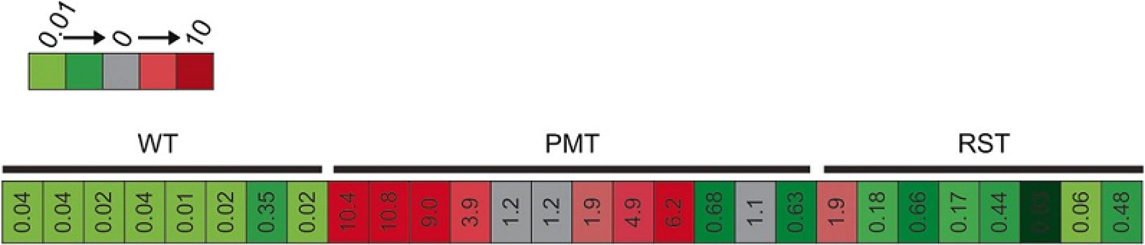Heat map illustrating the expression of OPN in 8 wild type mammary glands (WT), 12 primary mammary tumors (PMT) and 8 recurrent spindle tumors (RST) that arose in MTB-IGFIR transgenic mice as determined by cDNA microarray analysis. Numerical values in the box represent OPN expression relative to a universal mouse reference RNA sample. Microarrays were performed using Agilent Whole Mouse Genome 4 × 44 k Gene Expression Arrays (product number G4122F, Agilent) as described in [31]