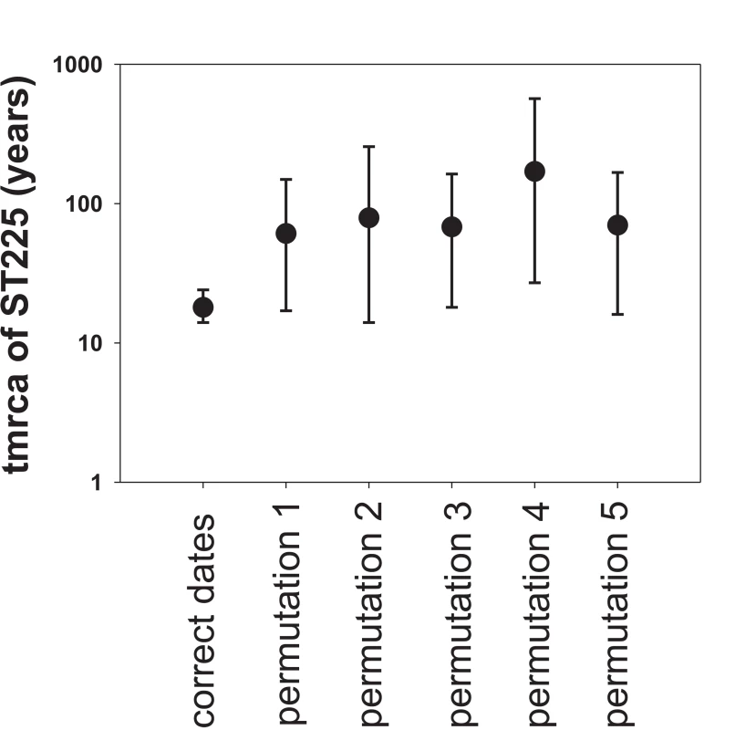 Effect of date permutation on the estimate of divergence time.