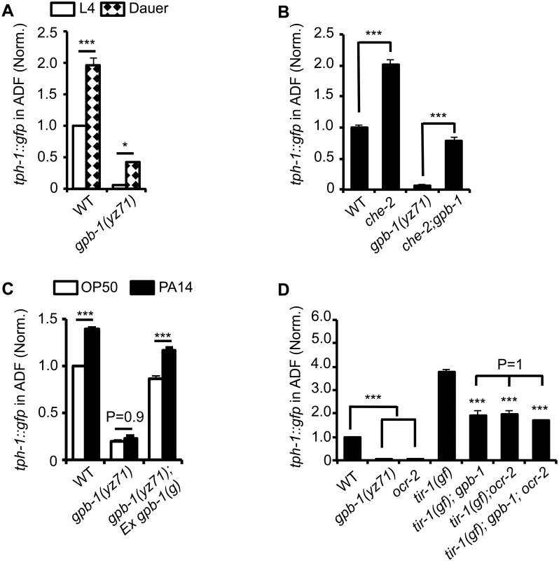 <i>tph-1</i>::<i>gfp</i> expression in <i>gpb-1(yz71)</i> mutants under optimal and aversive conditions.