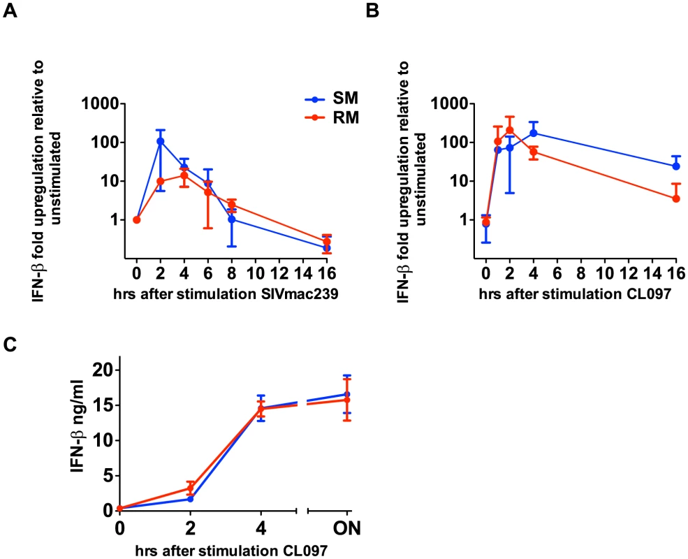 SIVmac239 and TLR7 agonists induce IFN-β production by SMs.