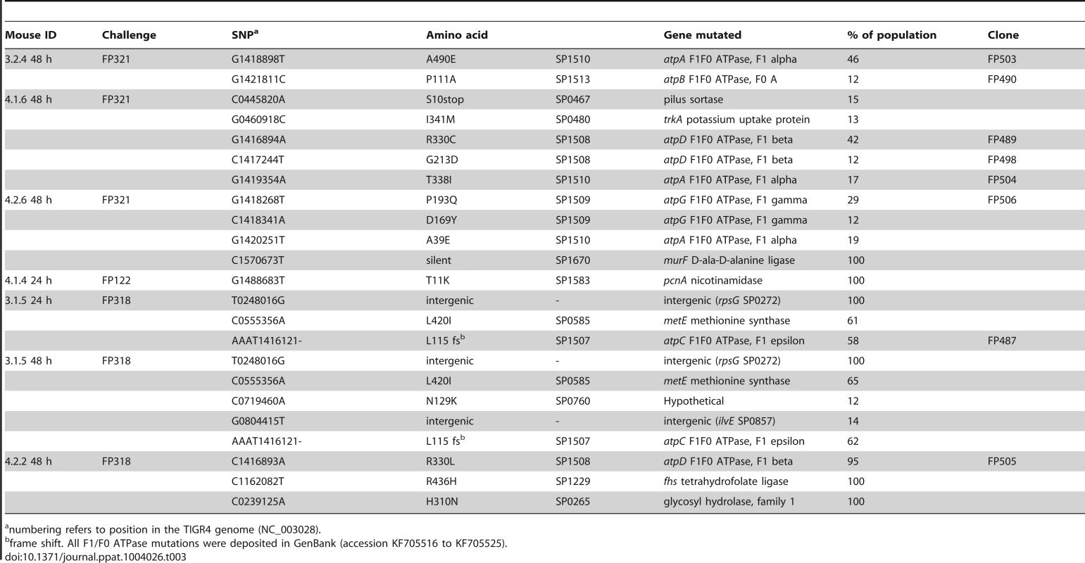 Genome sequencing data of pneumococcal colonies from monoclonal blood cultures.