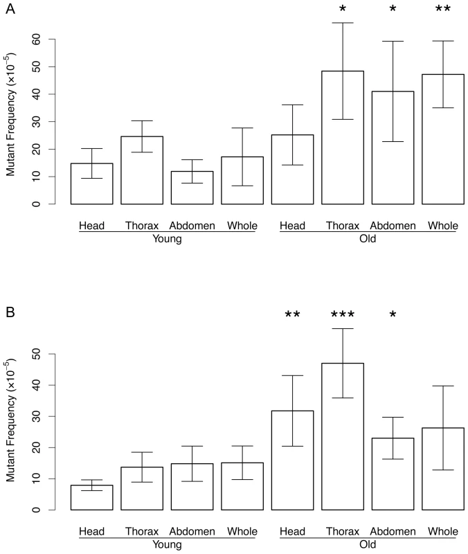 Mutation frequency in DNA from the head, thorax, and abdomen.