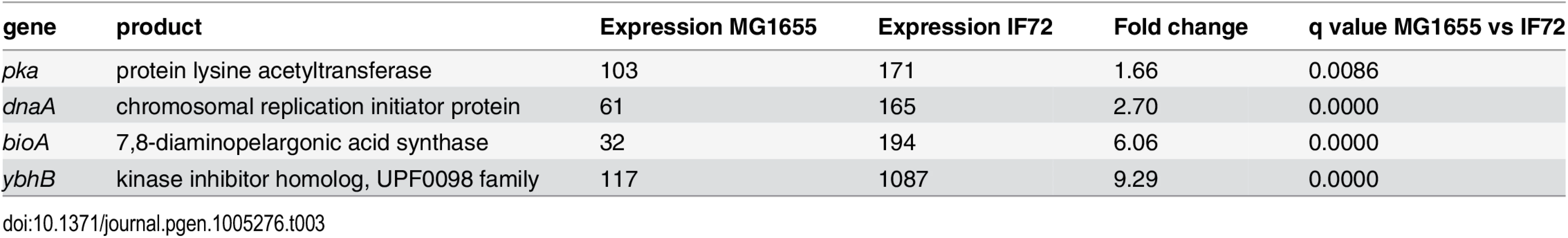 Differentially expressed genes in cells with 2 x DnaA vs wild type.