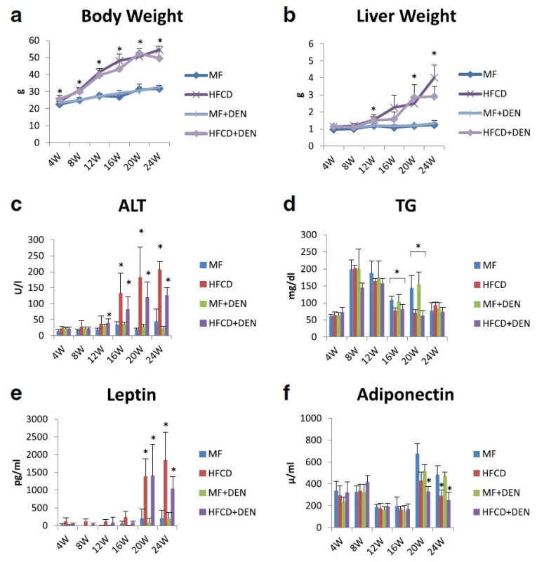 Body and liver weights and laboratory findings: a body weight; b liver weight; c plasma alanine aminotransferase (ALT); d plasma triglycerides (TG); e plasma leptin; and f adiponectin. The data are shown as the mean + standard deviation. * <i>p</i> < 0.05 indicates a significant difference between the standard diet (MF) group and the other groups for each month. HFCD, high-fat choline-deficient diet; DEN, diethylnitrosamine