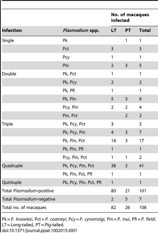 Summary of malaria parasite infections in wild macaques.
