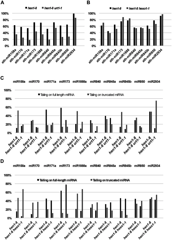 Quantification of miRNA tailing by small RNA high throughput sequencing.