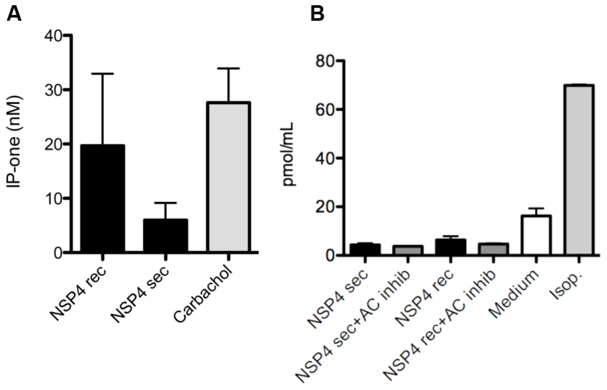 NSP4 activates phospholipase C mediated IP<sub>3</sub> but not the cAMP pathway.