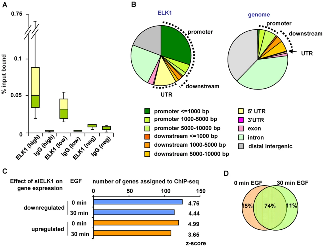 Identification of directly regulated ELK1 target genes.