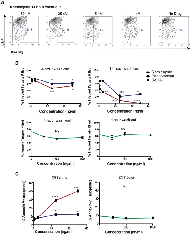 Impairment of CTL killing is sustained for at least 14 hours after removal of romidepsin or panobinostat.
