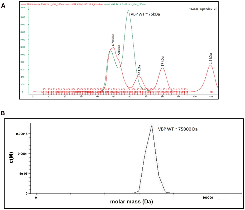 VBP is a dimer.