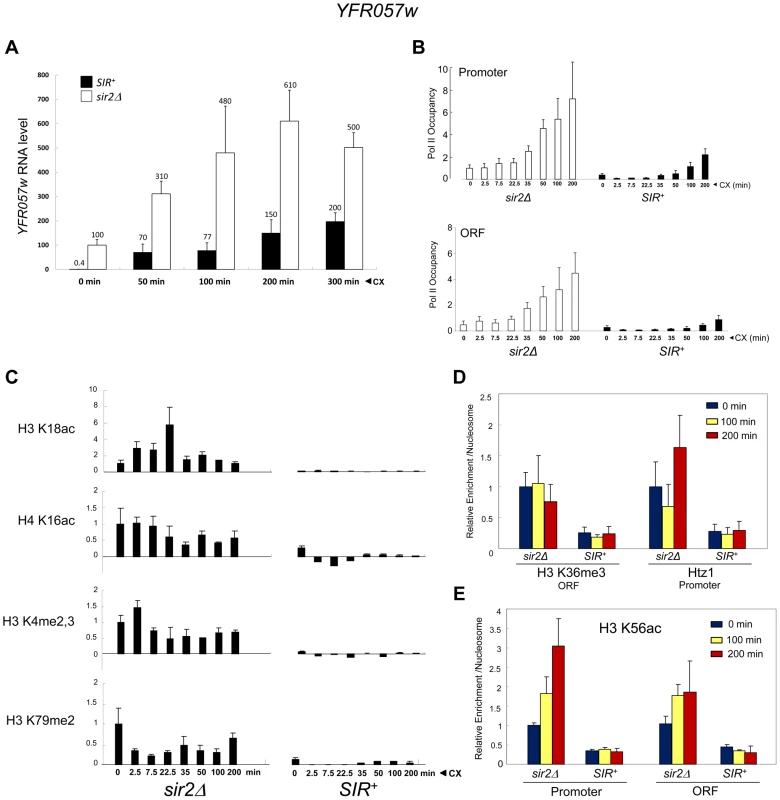 Transcriptional activation of the subtelomeric <i>YFR057w</i> gene is unlinked to covalent histone modification.