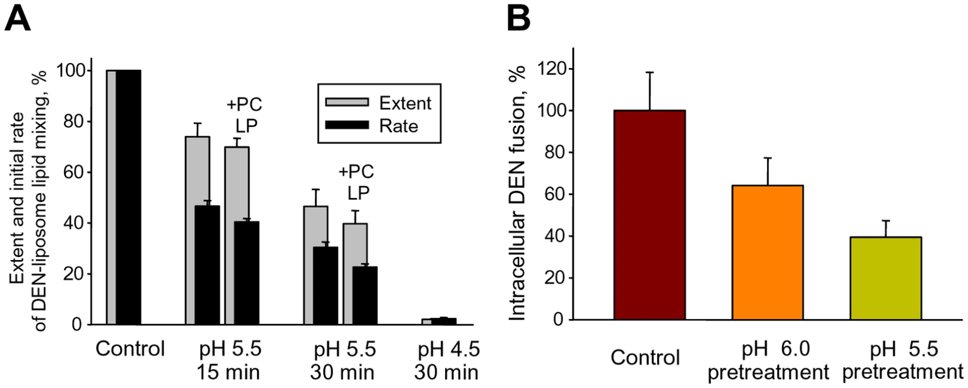 Slow inactivation of fusion machinery of DEN virions acidified in the absence of AL-containing membranes.