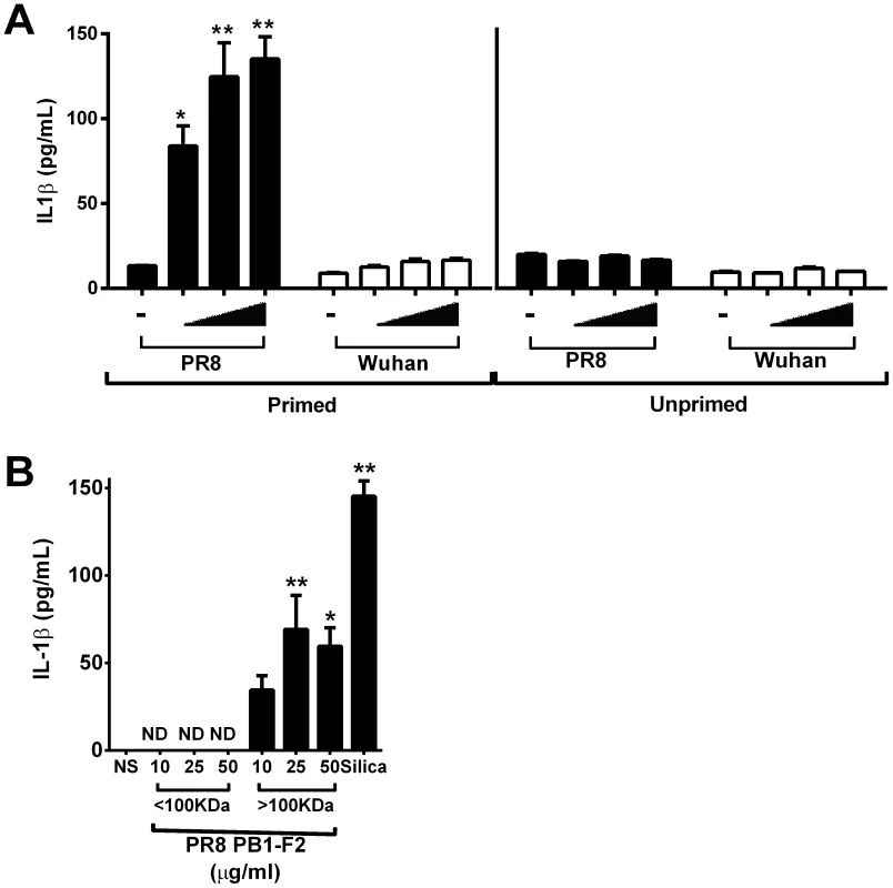 PR8 PB1-F2 aggregates activate the NLRP3 inflammasome.