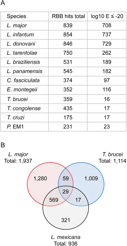 Conservation of novel transcript sequences.