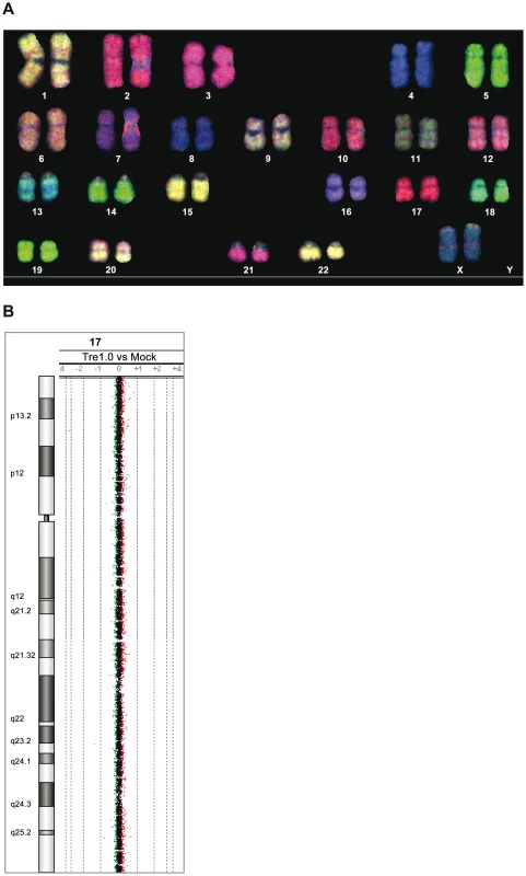Analysis of potential Tre-related genotoxic effects.