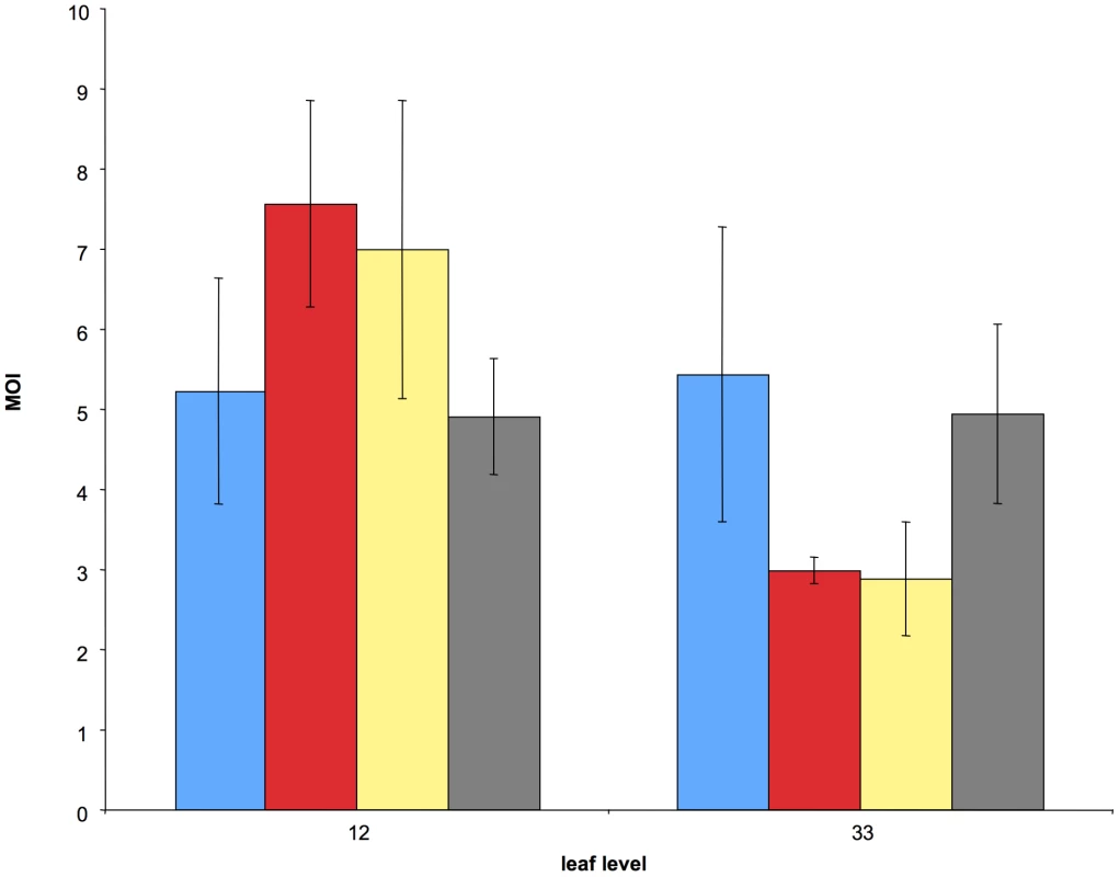 Comparison of the average cellular MOI in leaf levels 12 and 33 under four different treatments.