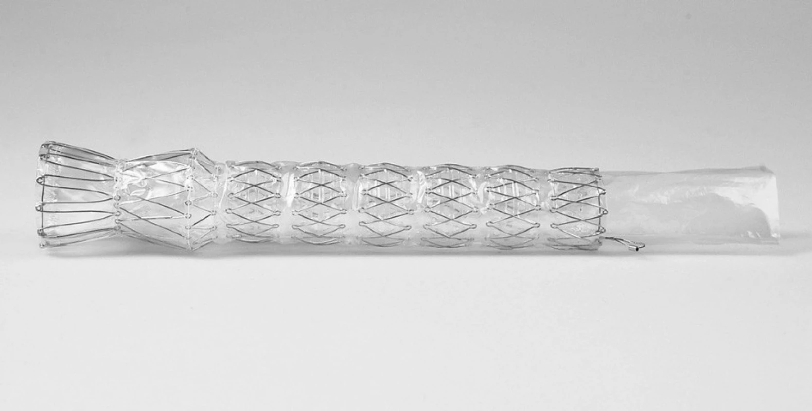 Boubella C – Různé typy expandibilních metalických stentů ELLA
Fig. 2. Boubella C – various types of ELLA expandable metallic stents