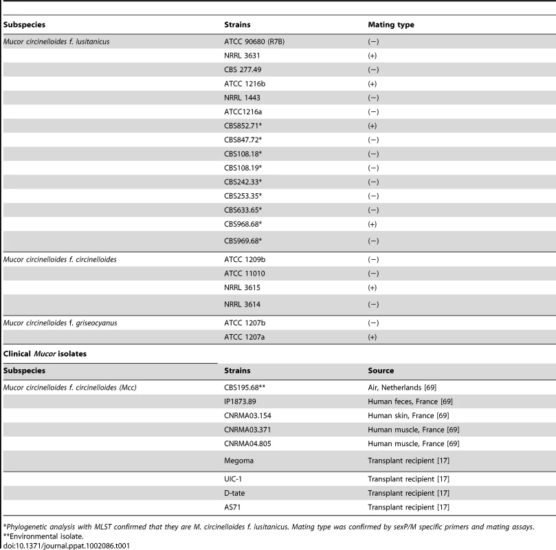 <i>Mucor circinelloides</i> strains used in this study.