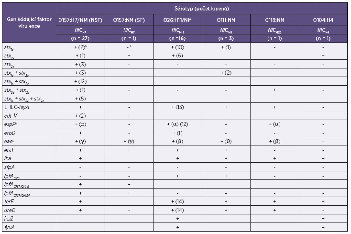 Sérotypy a geny kódující faktory virulence u 49 kmenů EHEC izolovaných od pacientů s průjmem, krvavým průjmem a jejich kontaktů v ČR
Table 2. Serotypes and genes encoding virulence factors in 49 EHEC strains isolated from patients with diarrhea or bloody diarrhea and their contacts in the Czech Republic