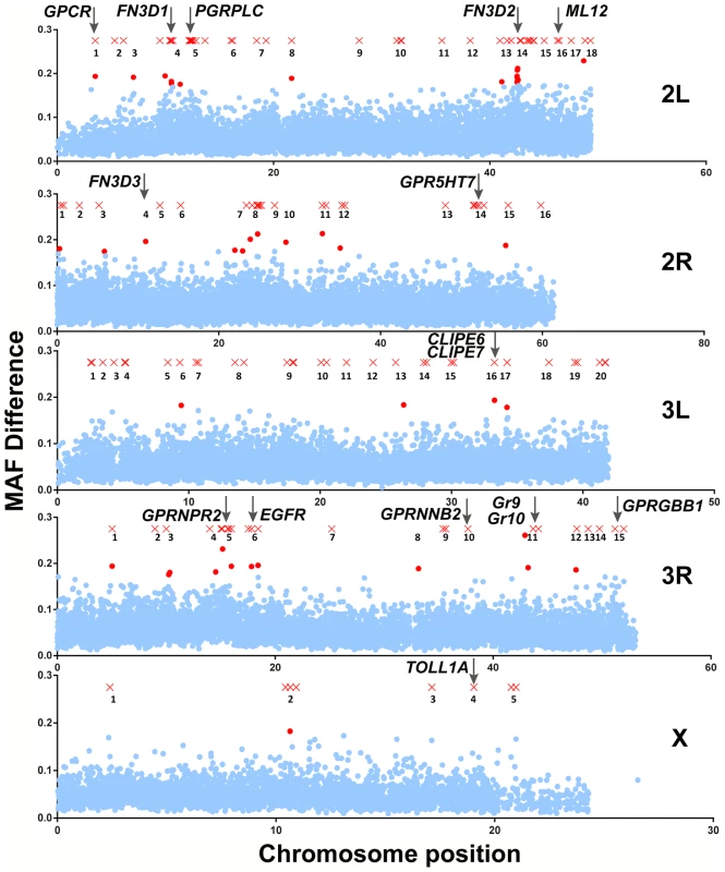 Mapping of <i>An. gambiae</i> genetic variation associated with the <i>S. marcescens</i> infection phenotype.