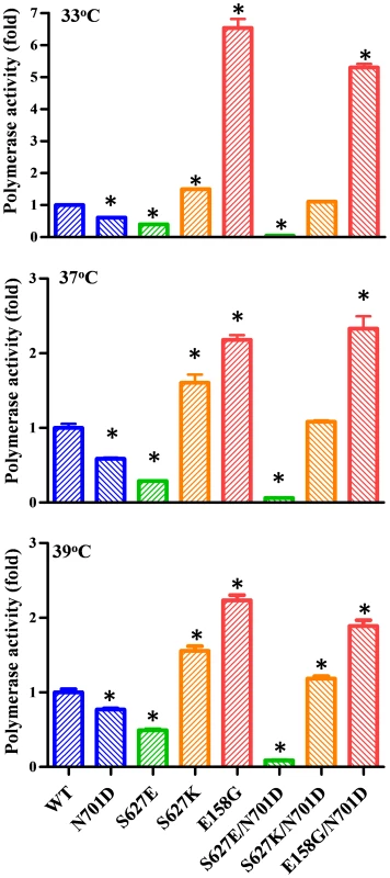 Polymerase activity of Bat09 with wild type and mutant PB2.