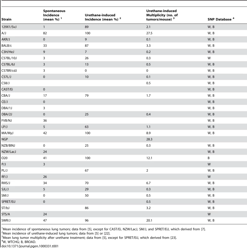 Lung tumor phenotypes (spontaneous and urethane-induced incidence and urethane-induced tumor multiplicity) of mouse inbred strains used in this study.