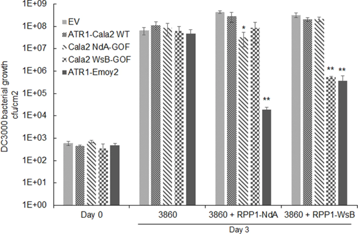 Delivery of alleles and mutants of ATR1 by <i>Pseudomonas syringae</i> pv. <i>tomato</i> strain DC3000 leads to allele specific growth inhibition.