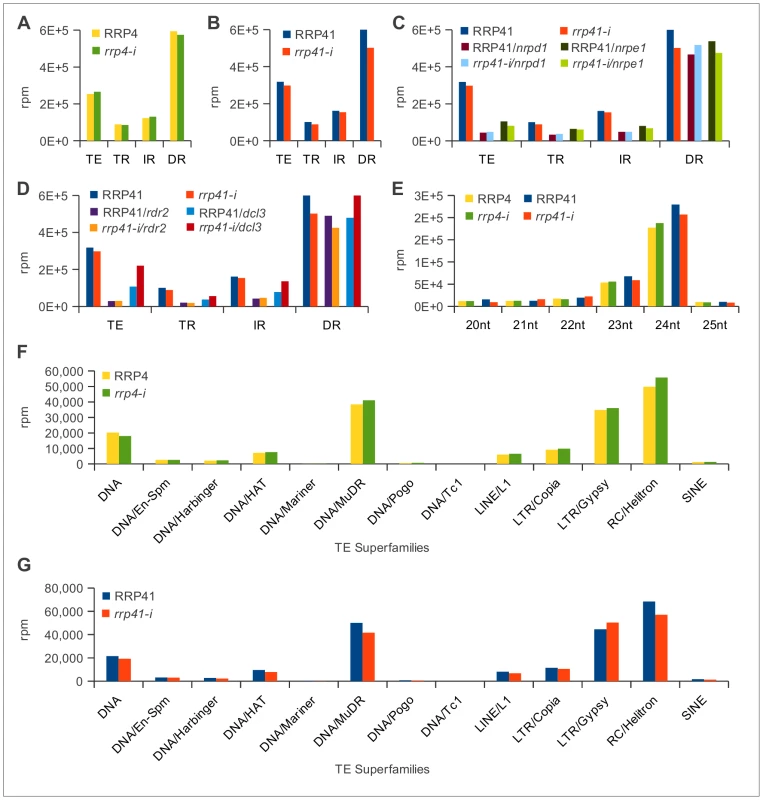 Characterization of 20–25 nt smRNAs corresponding to transposons and repeats in exosome and RdDM mutants.