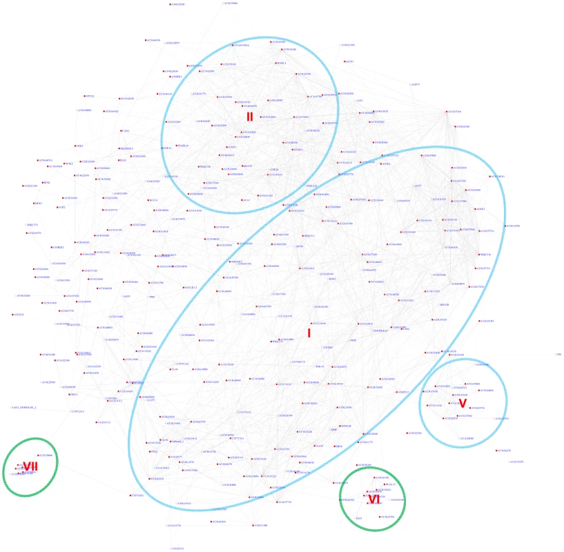 A sub-network for the W-box motif based on motif position bias analysis.