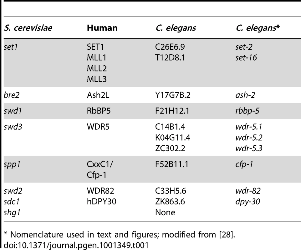 Conserved components of COMPASS complex in <i>C. elegans.</i>