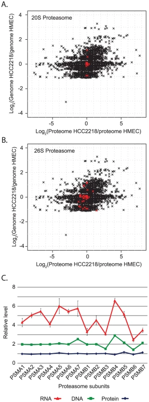 Distribution of proteasomal genes, proteins and mRNA.