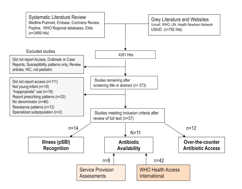 Search strategy and results for literature review of published and grey literature.