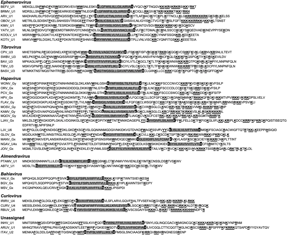 Illustration of the similar structural characteristics of viroporin-like proteins.