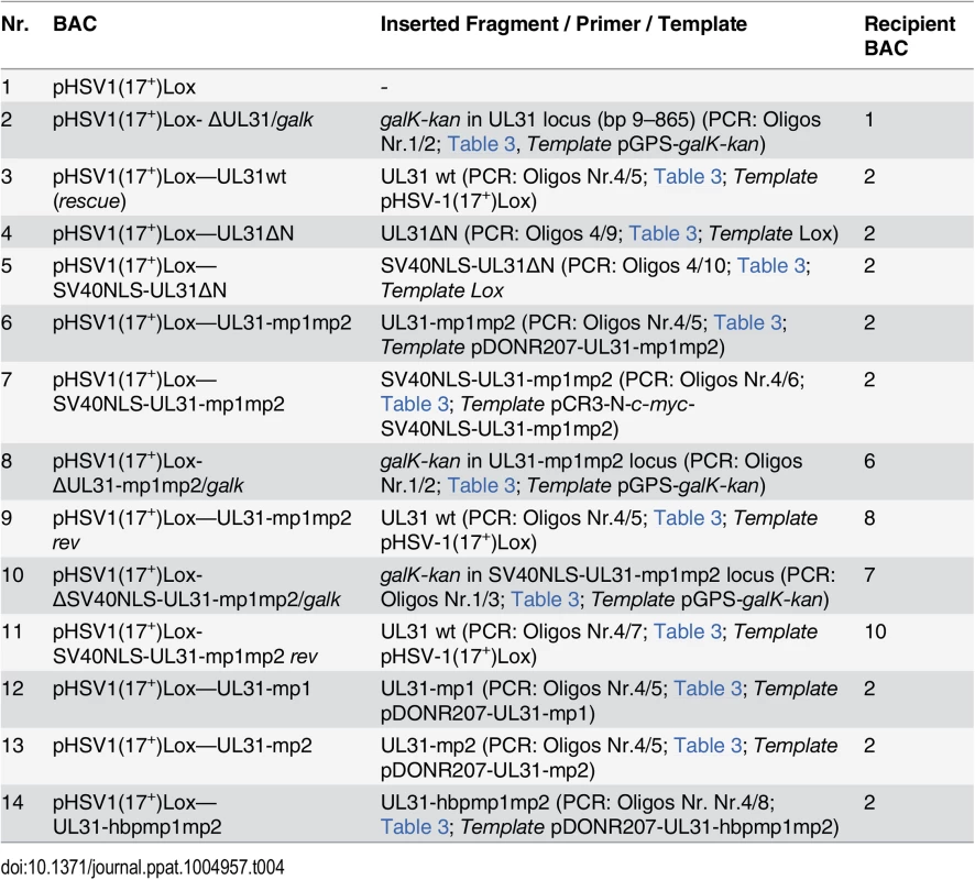 BAC mutagenesis.