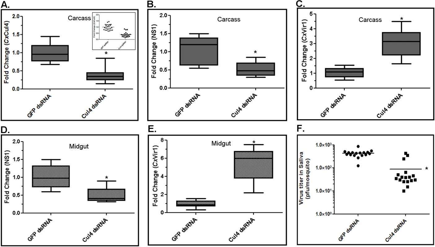 <i>Culex</i> cullin (Cul4) is pro-viral during mosquito infection.