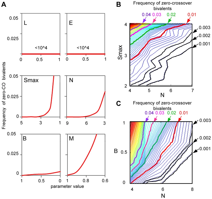 How is a low level of zero-CO bivalents ensured by the beam-film model?