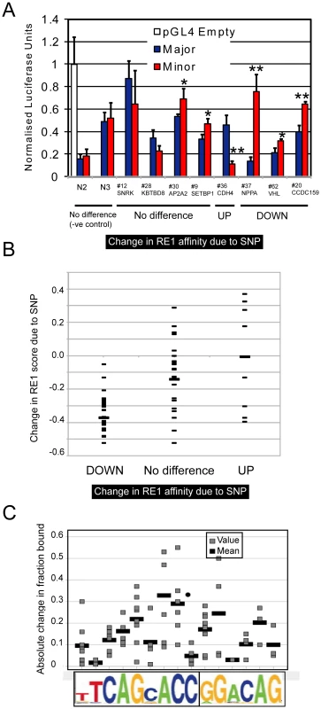 Validation and analysis of RE1 SNPs.