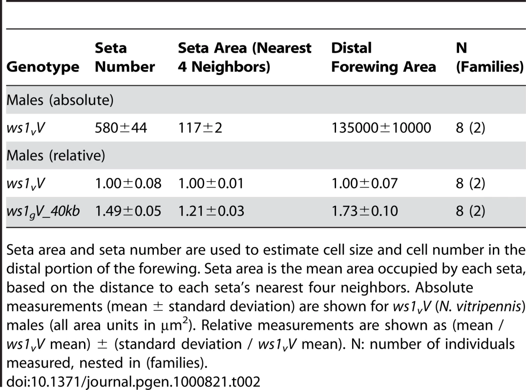 Cell number and size effects of <i>ws1</i>, as estimated by seta number and area.