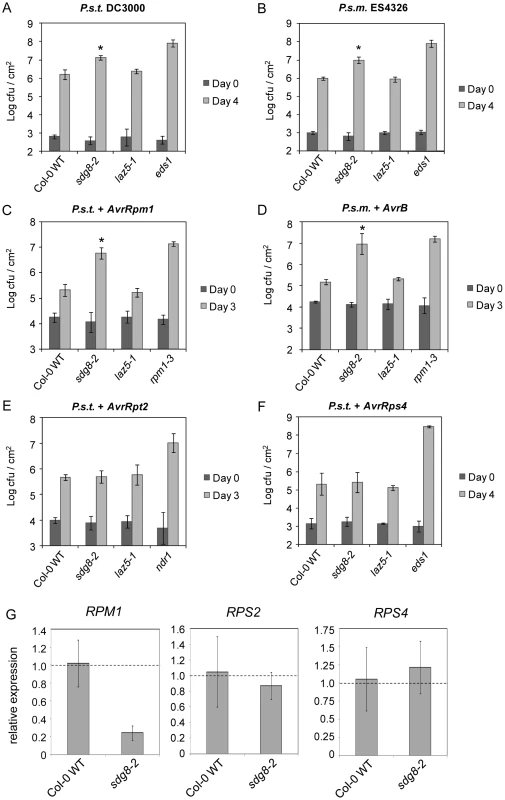 SDG8 is required for plant innate immunity.