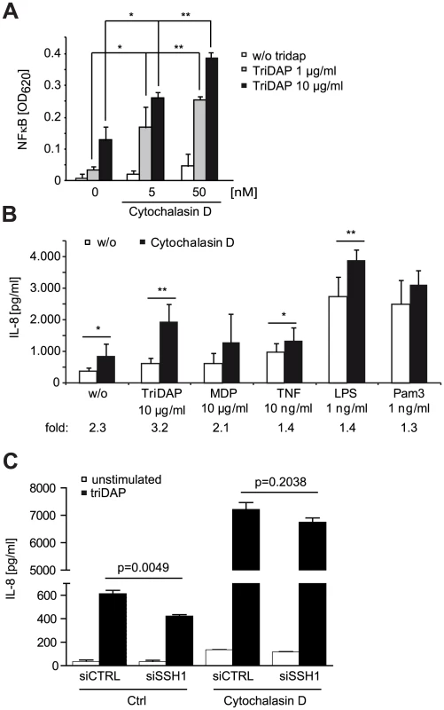 NOD1 signaling is dependent on F-actin.